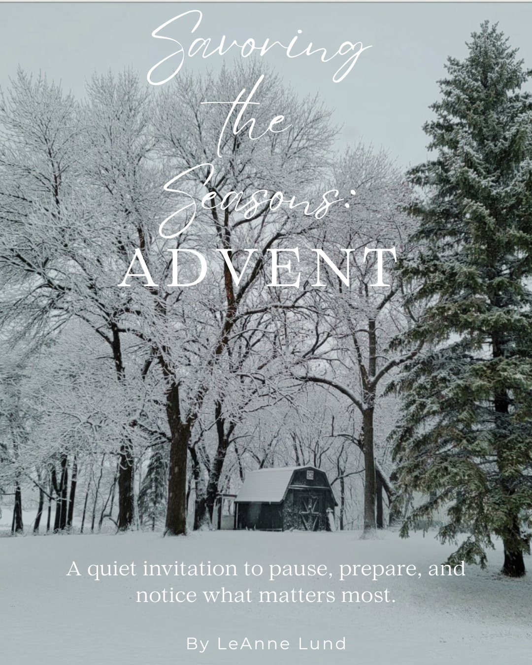 Savoring the Seasons:Advent