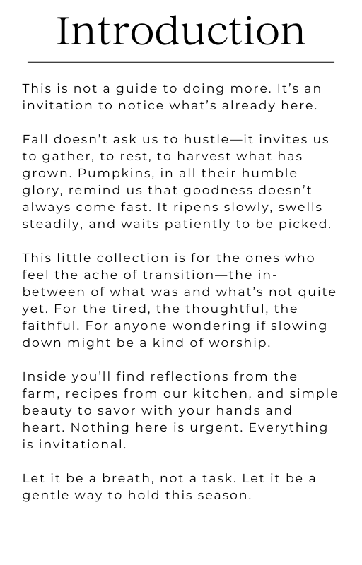 Savoring the Seasons: Pumpkins